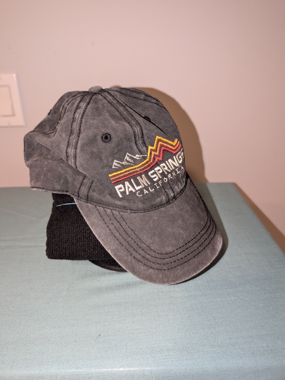 Vintage Palm Springs California Graphic Dad Cap